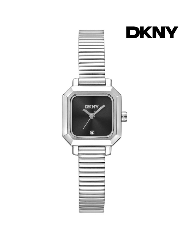 DKNY Ladies Watch